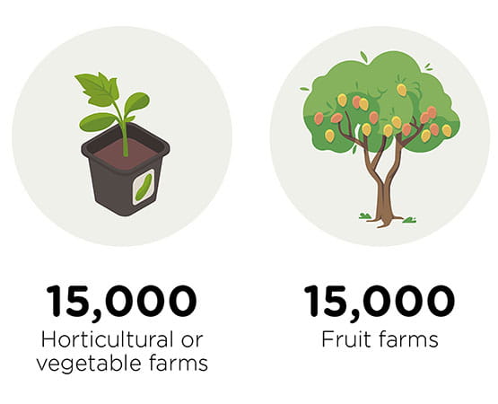 Infographic on the number of French farms according to their main production
