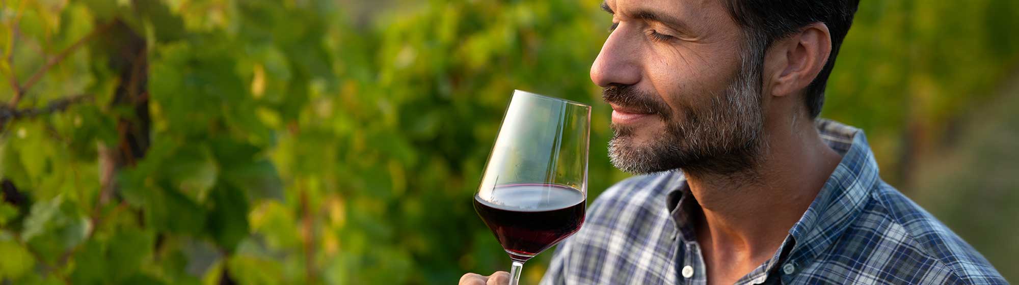 A winegrower tastes his wine in a glass