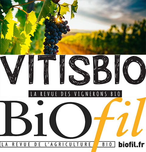 Black grape vine + VITISBIO & BIOFIL logo