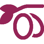 logo branche d'olivier