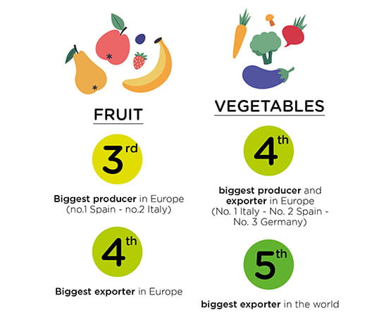 Infographic on French positions in European and world agriculture