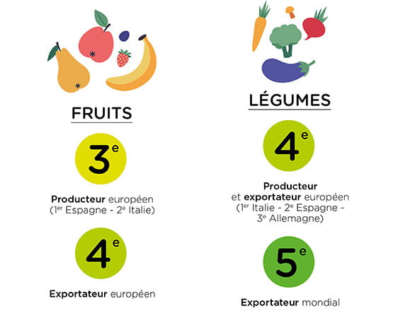 Infographie sur les positions françaises dans l'agriculture européenne et mondiale