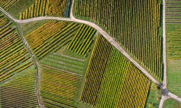 Vue aérienne de parcelles agricoles