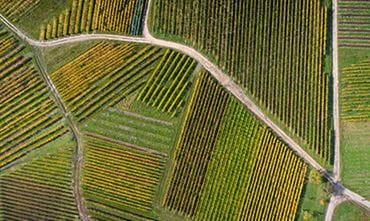 Aerial view of agricultural plots
