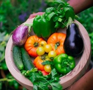 Vegetable basket
