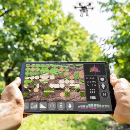 Soil and crop analysis in vineyards