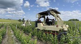 L'Accord Robotique, duo tracteur viticole électrique et robot de Sabi Agri