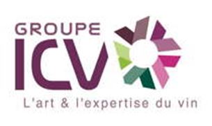 Logo Groupe ICV