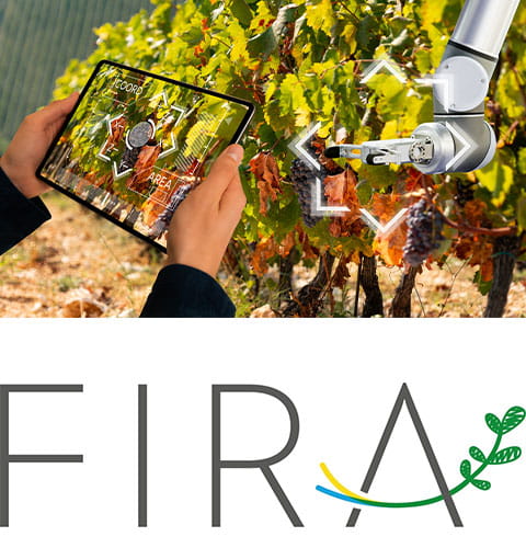 Personne tenant une tablette devant une vigne
